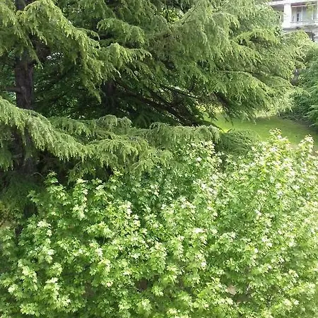 Le 112, Confortable Et Cosy En Plein Centre D'aix Les Bains Lägenhet *