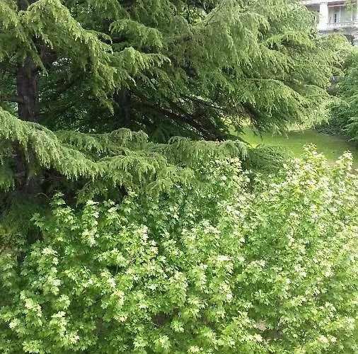 Le 112, Confortable Et Cosy En Plein Centre D'aix Les Bains Lägenhet *